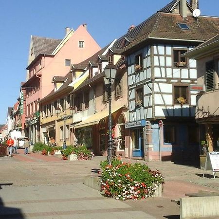Maison Bleue Appartement Saverne Buitenkant foto