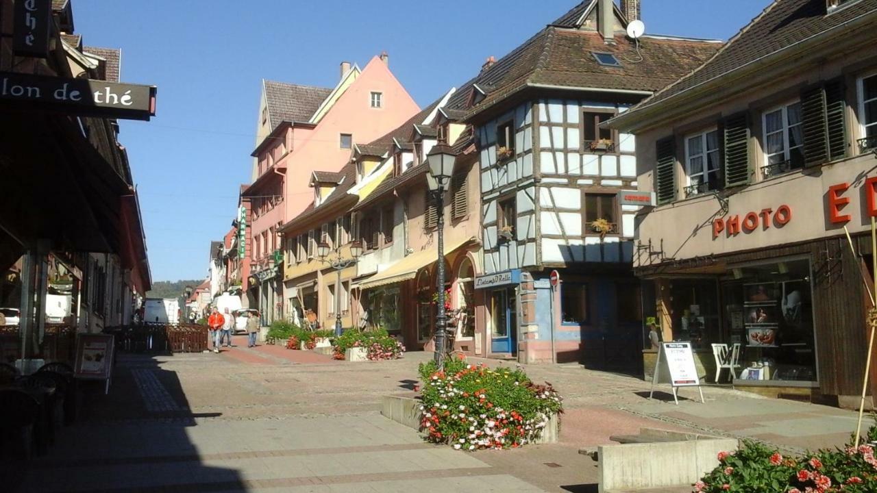 Maison Bleue Appartement Saverne Buitenkant foto