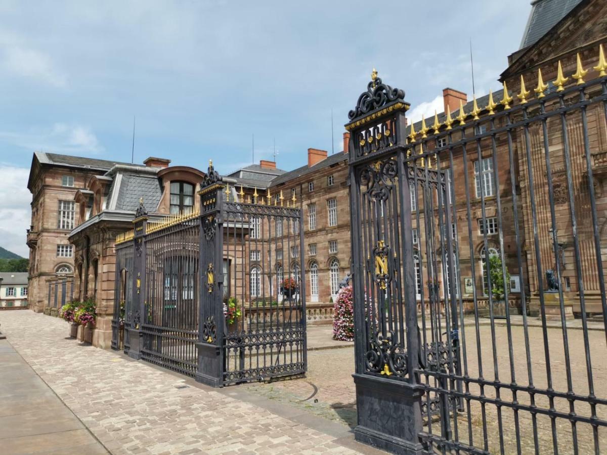 Maison Bleue Appartement Saverne Buitenkant foto